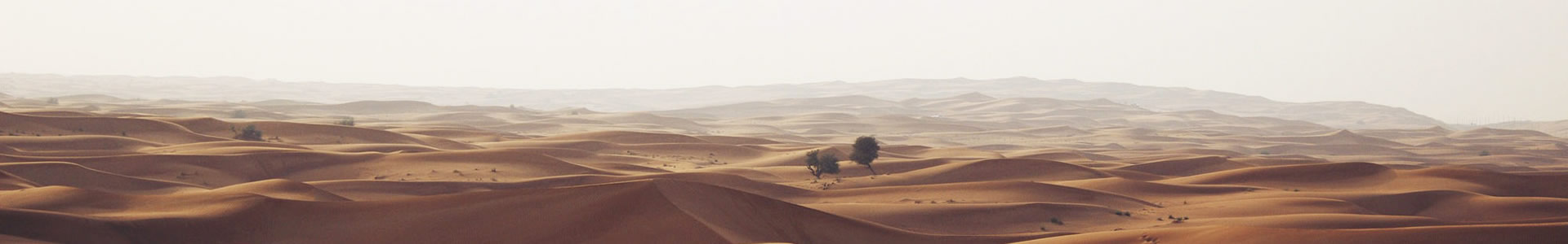 ŰƼ޹˾